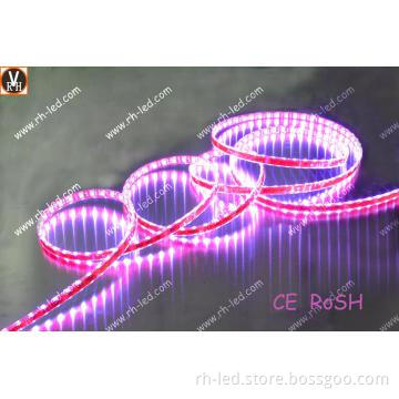 flexibe led strip rgb 5050 with CE and RoHS